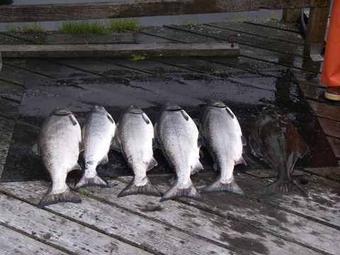 Tofino 2008 005.JPG